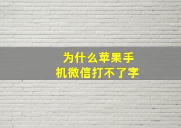 为什么苹果手机微信打不了字