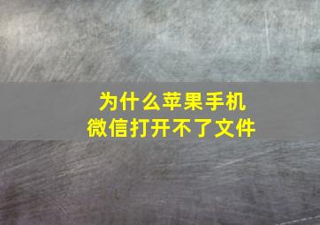 为什么苹果手机微信打开不了文件