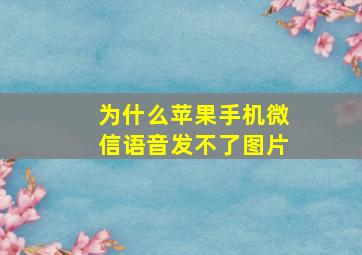 为什么苹果手机微信语音发不了图片