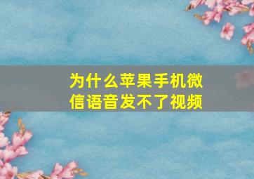 为什么苹果手机微信语音发不了视频