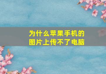 为什么苹果手机的图片上传不了电脑