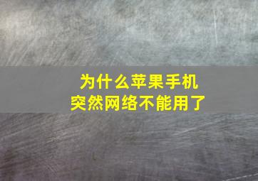 为什么苹果手机突然网络不能用了