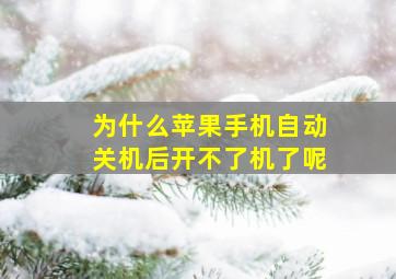 为什么苹果手机自动关机后开不了机了呢