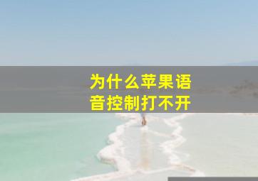 为什么苹果语音控制打不开