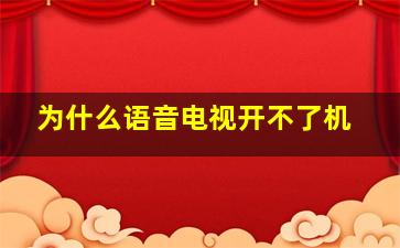 为什么语音电视开不了机