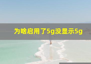 为啥启用了5g没显示5g