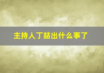 主持人丁喆出什么事了