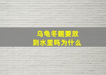 乌龟冬眠要放到水里吗为什么