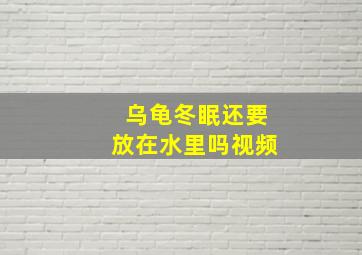 乌龟冬眠还要放在水里吗视频