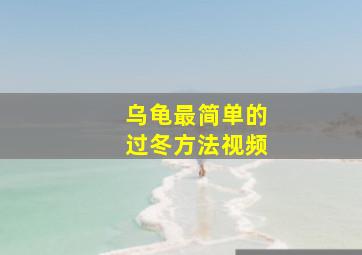 乌龟最简单的过冬方法视频