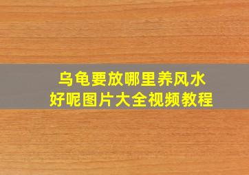 乌龟要放哪里养风水好呢图片大全视频教程