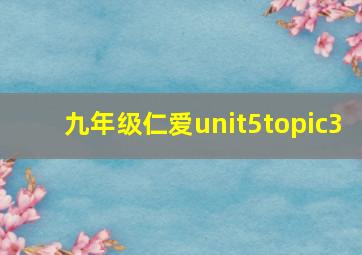 九年级仁爱unit5topic3