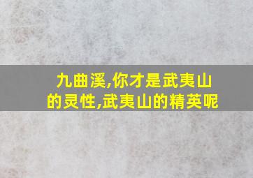 九曲溪,你才是武夷山的灵性,武夷山的精英呢