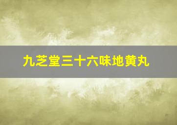 九芝堂三十六味地黄丸