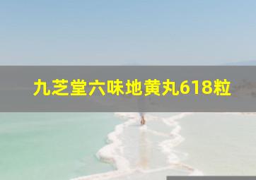 九芝堂六味地黄丸618粒