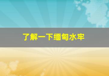 了解一下缅甸水牢