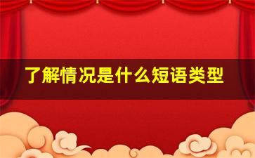 了解情况是什么短语类型