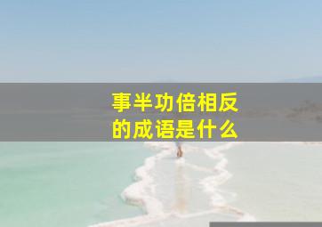 事半功倍相反的成语是什么