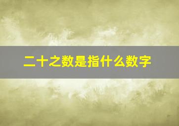 二十之数是指什么数字