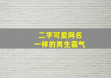 二字可爱网名一样的男生霸气