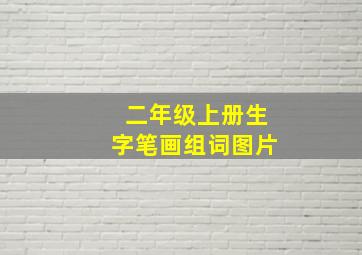 二年级上册生字笔画组词图片