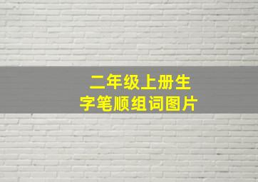 二年级上册生字笔顺组词图片