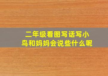 二年级看图写话写小鸟和妈妈会说些什么呢