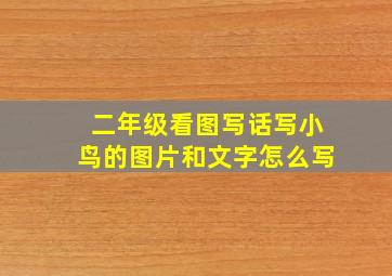 二年级看图写话写小鸟的图片和文字怎么写