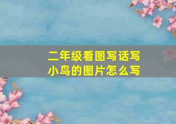 二年级看图写话写小鸟的图片怎么写