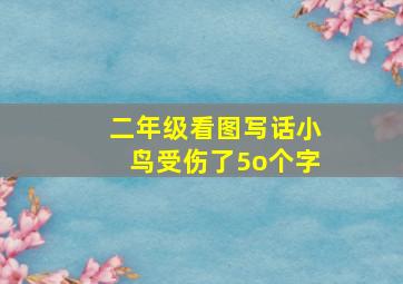 二年级看图写话小鸟受伤了5o个字