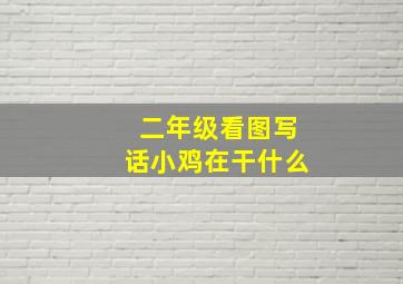 二年级看图写话小鸡在干什么