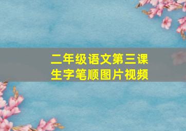 二年级语文第三课生字笔顺图片视频