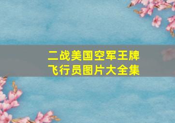 二战美国空军王牌飞行员图片大全集