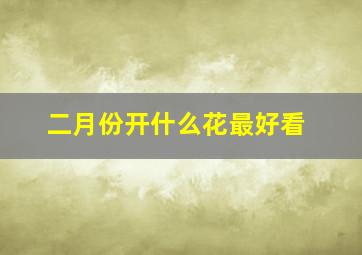 二月份开什么花最好看