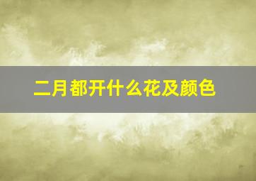 二月都开什么花及颜色