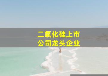 二氧化硅上市公司龙头企业