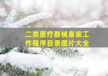 二类医疗器械备案工作程序目录图片大全