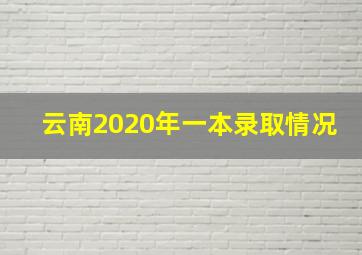 云南2020年一本录取情况