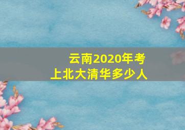 云南2020年考上北大清华多少人