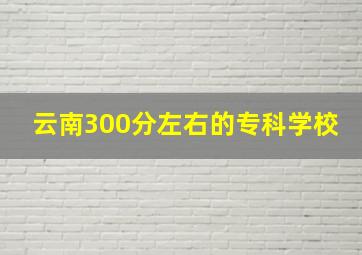 云南300分左右的专科学校