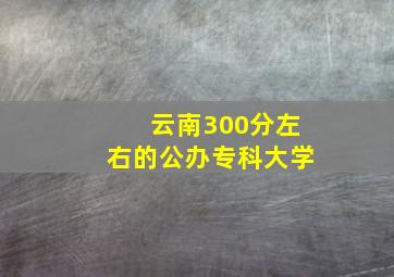 云南300分左右的公办专科大学