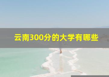 云南300分的大学有哪些