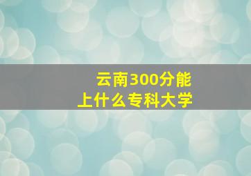 云南300分能上什么专科大学