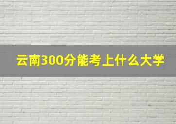 云南300分能考上什么大学