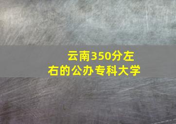 云南350分左右的公办专科大学