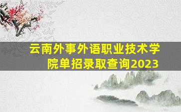 云南外事外语职业技术学院单招录取查询2023