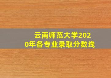 云南师范大学2020年各专业录取分数线