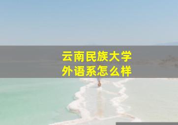 云南民族大学外语系怎么样