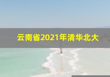 云南省2021年清华北大