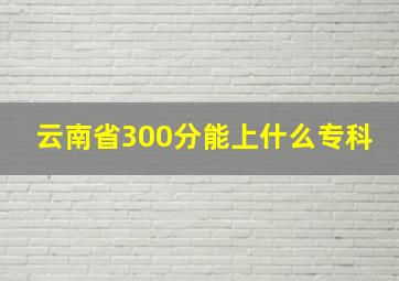 云南省300分能上什么专科